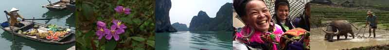 scenes from Vietnam